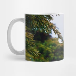 coniferous dew Mug